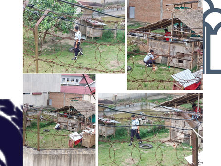 “Pengawasan kegiatan beternak ayam”