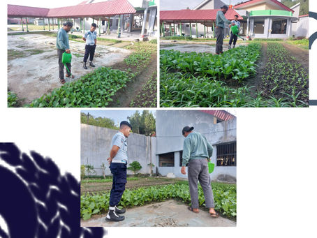 Kegiatan berkebun sebagai sarana rekreasional dan pengembangan potensi Warga Binaan selama menjalani
