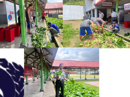Panen Hasil Perkebunan Lapas Mamasa