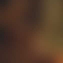 Noël : Entre traditions, tendances et magie dans l'air