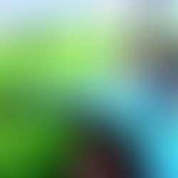 Bye bye Belgique, je t'aimais bien…