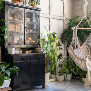 Les plantes à adopter chez soi !