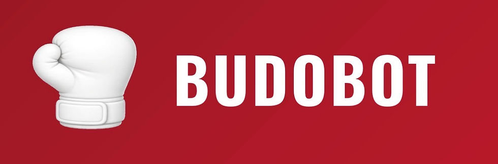 BudoBot bruker OpenAIs språkmodell, som er blant de beste på markedet for norsk språk, og er bygget med det vi kaller RAG-teknologi – Retrieval-Augmented Generation.
