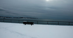 DSC_0403.JPG