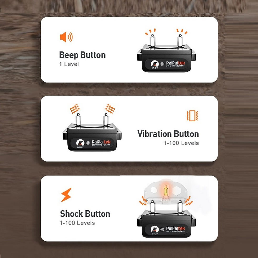Thumbnail: ControlPaws Dog Training Collar-1000m Waterproof Remote Beep & Vibration Collar