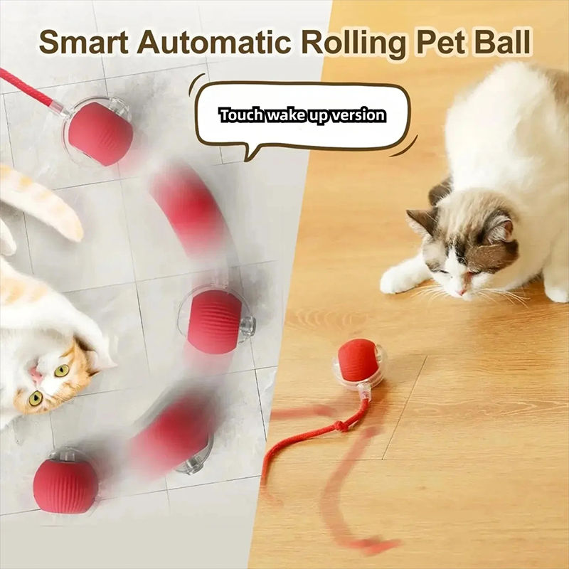 Thumbnail: ZoomTail Ball