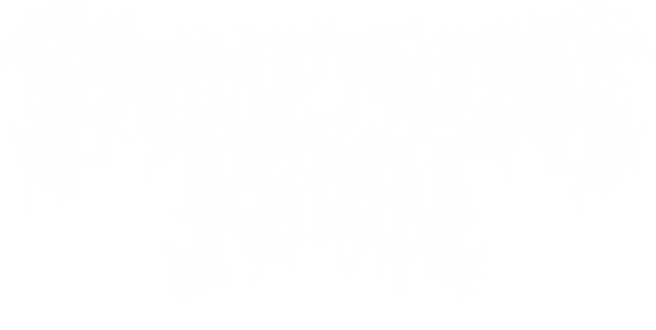 LOGO-PNG white.png