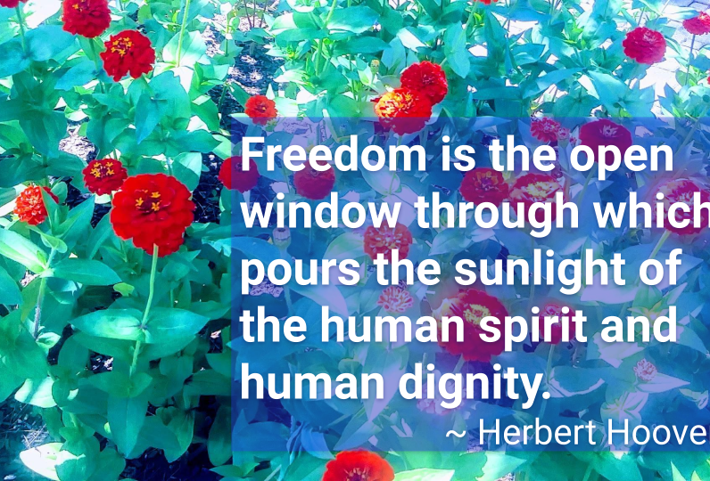 Quotepic Herbert Hoover on freedom with red button flowers against a vibrant green background