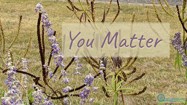 Quotepic Dee stating you matter set against some wildflowers