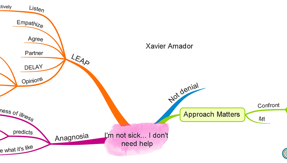 Mindmap  from presentation, I'm Not Sick, I Don't Need Help on LEAP with Xavier Amador