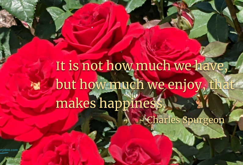 Quotepic Charles Spurgeon on enjoying