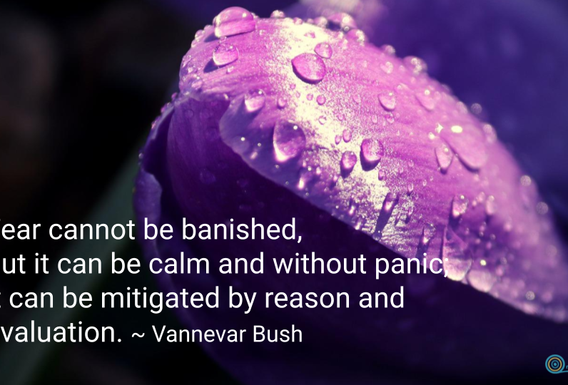 Quotepic Vannevar Bush on fear and calm set on purple flower bud against a dark background