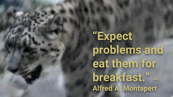 Problems quote