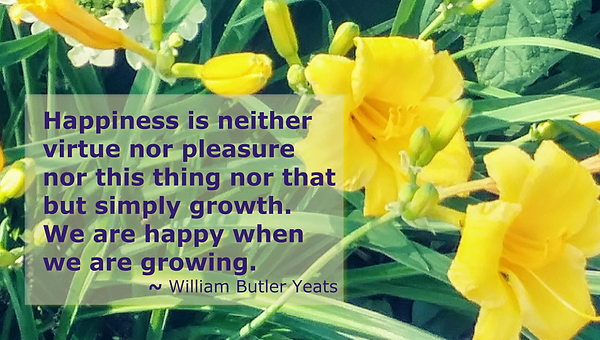 Growth quote