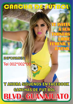 Volantes