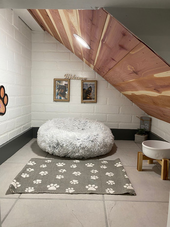 home renovation, dog house entrance, dog bed, residential construction, general contractor Houston, interior design