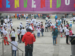 DSCN0003 (FILEminimizer)