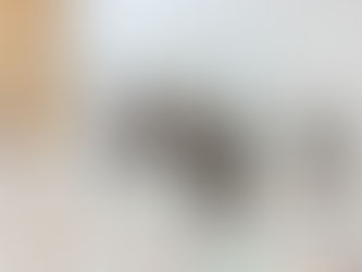 Juniorinnen 2 - VBC Malters | 0:3