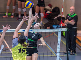 3:0 | Damen 1 - VBC Steinhausen