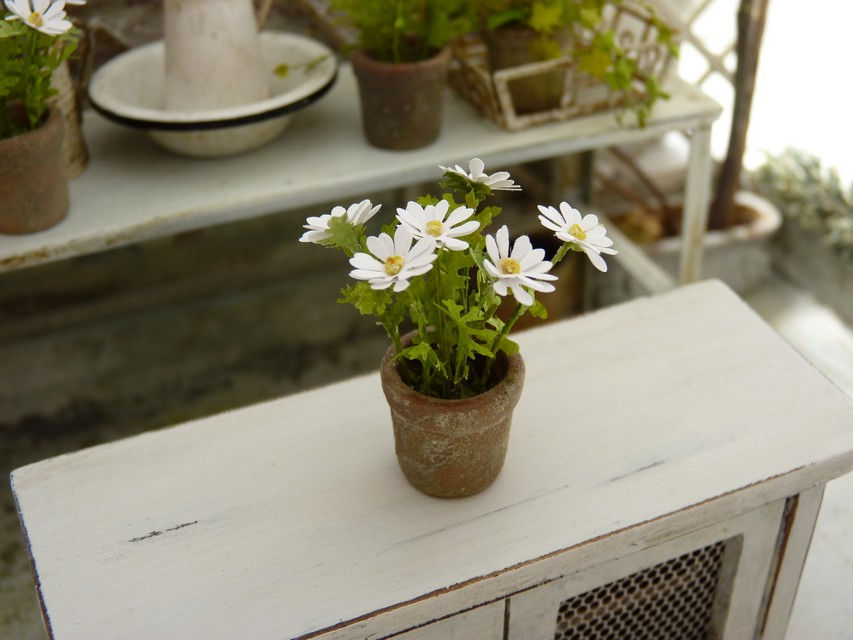 Miniature : Pot de Marguerites Miniature, Terre Cuite, Maison de Poupée, 1/12