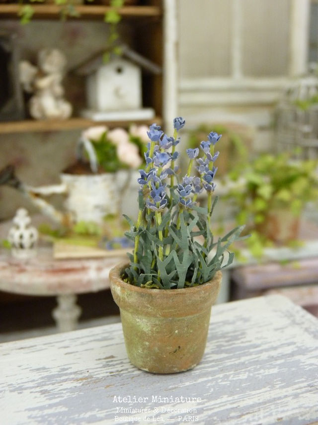 Miniature : Pot de Lavande en Terre Cuite, Maison de Poupée,