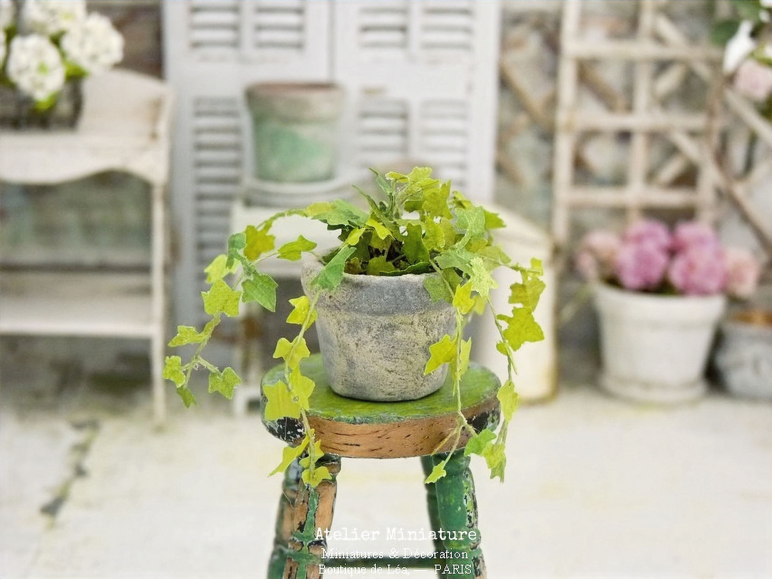 Pot de Lierre Miniature, Maison de Poupée, 1/12