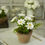 Miniature : #2 - Pot de Marguerites Miniature, Terre Cuite, Maison de Poupée, 1/12