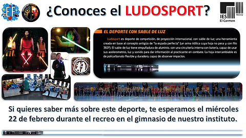 Cartel Ludosport.jpg