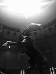 FullSizeRender (47).jpg