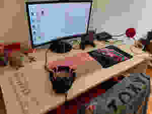 Home Studio Gamer Girl