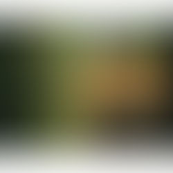 Project / SIDE B 024