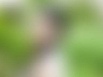 Project / SIDE B 021