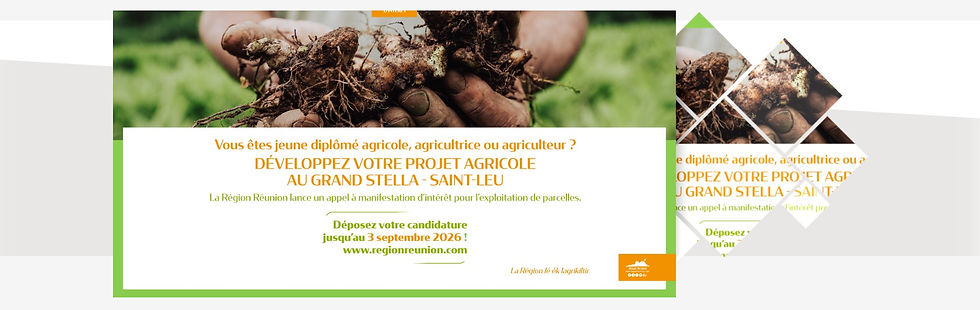 La Région Réunion lance un Appel à manifestation d’intérêt - Valorisation agricole de la propriété régionale du Grand Stella