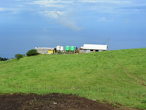 DSC_1984.JPG