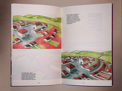Livro - Projeto gráfico/Ilustrações