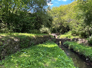 view looking along the River Tame brook with grass banks either side and a small foot bridge crossing the water