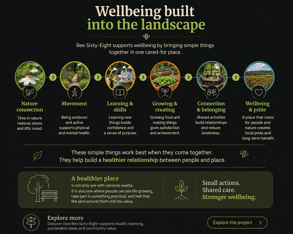 infographic showing Bee Sixty-Eight linking nature connection, movement, learning and skills, growing and creating, connection and belonging, and wellbeing and pride to a healthier relationship between people and place.