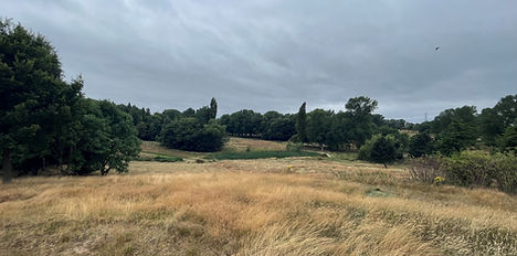 brandhall golf course nature3.jpg