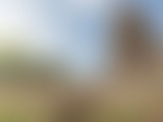 Planning a Zero-Waste Wedding