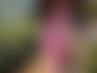 blooming flowers on a forest path 