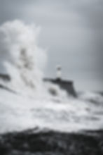 Image by Marcus Woodbridge