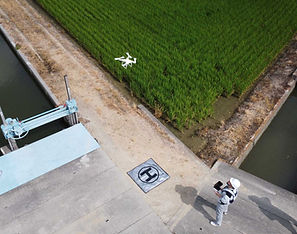 ドローン作業 (1).jpg