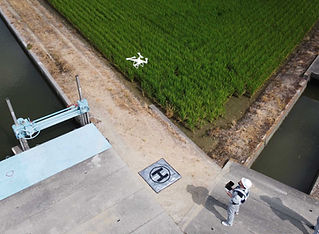 ドローン作業 (1).jpg