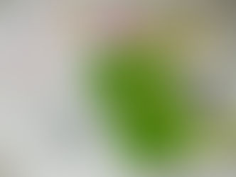 【12月15日】プレゼント企画が終了いたしました。