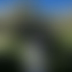 Organic, Modular, and Living Architecture