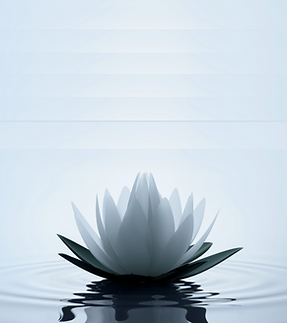 wisdom circle general (2).png