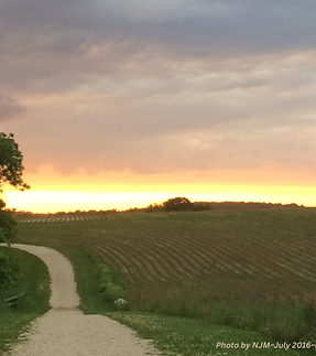 sunflower moon (1).png