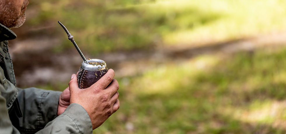 middle-aged-man-drinking-yerba-mate-in-nature-trav-ZTYJSKD.JPG