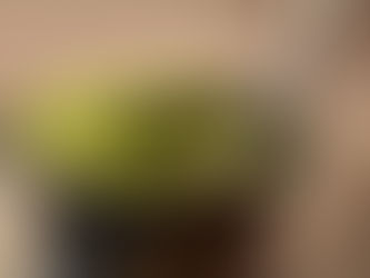 Em quanto tempo devo trocar minha cuia de chimarrão?