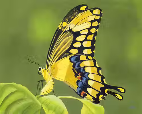 1a4081_16dd411cb7294d5cb1e25aa0852b29fe~mv2.avif